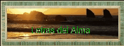 'Letras del Alma'
