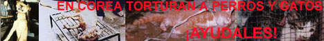 Campaa contra la tortura de perros y gatos en Corea del Sur