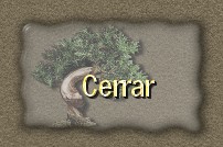 Cerrar pgina